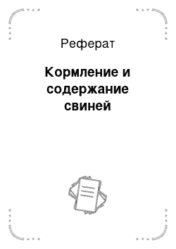 Реферат: Кормление и содержание свиней