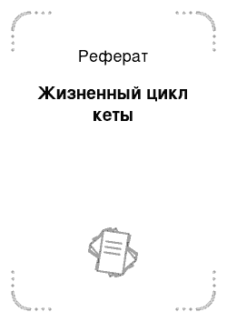 Реферат: Жизненный цикл кеты