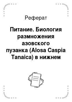 Реферат: Питание. Биология размножения азовского пузанка (Alosa Caspia Tanaica) в нижнем течении реки Кубань