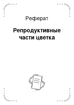 Реферат: Репродуктивные части цветка