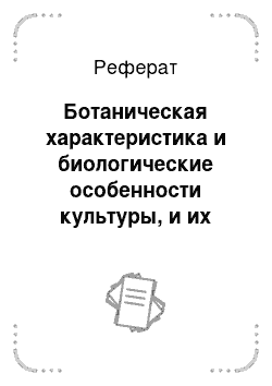 Реферат: Ботаническая характеристика и биологические особенности культуры, и их соответствие почвенно-климатическим особенностям хозяйства