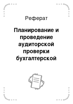 Реферат: Планирование и проведение аудиторской проверки бухгалтерской финансовой отчетности ООО Ломбард «САЛОГ»