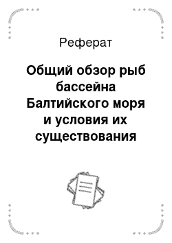 Реферат: Общий обзор рыб бассейна Балтийского моря и условия их существования