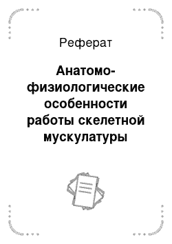 Реферат: Анатомо-физиологические особенности работы скелетной мускулатуры человека