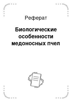 Реферат: Биологические особенности медоносных пчел