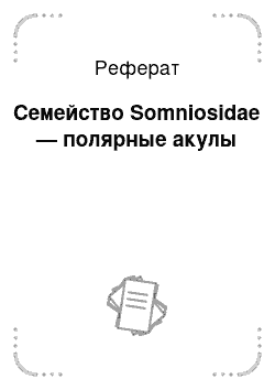 Реферат: Семейство Somniosidae — полярные акулы