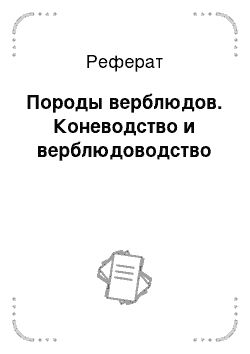 Реферат: Породы верблюдов. Коневодство и верблюдоводство