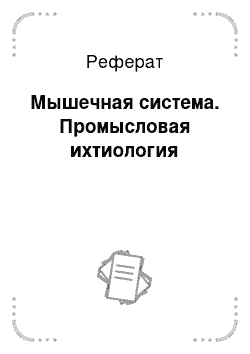 Реферат: Мышечная система. Промысловая ихтиология