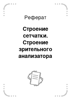 Реферат: Строение сетчатки. Строение зрительного анализатора