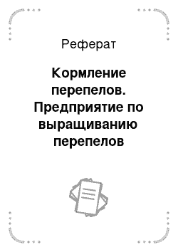 Реферат: Кормление перепелов. Предприятие по выращиванию перепелов