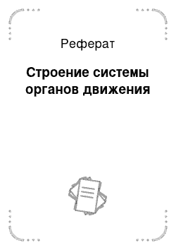 Реферат: Строение системы органов движения