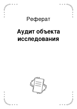 Реферат: Аудит объекта исследования