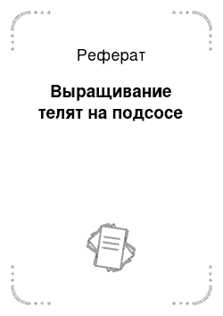 Реферат: Выращивание телят на подсосе