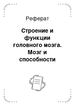 Реферат: Строение и функции головного мозга. Мозг и способности