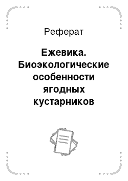 Реферат: Ежевика. Биоэкологические особенности ягодных кустарников