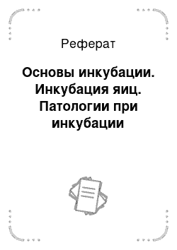 Реферат: Основы инкубации. Инкубация яиц. Патологии при инкубации