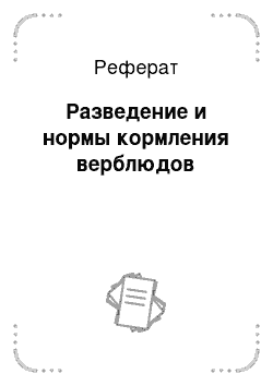 Реферат: Разведение и нормы кормления верблюдов