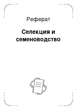 Реферат: Селекция и семеноводство