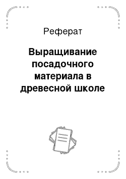 Реферат: Выращивание посадочного материала в древесной школе