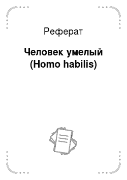 Реферат: Человек умелый (Homo habilis)