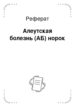 Реферат: Алеутская болезнь (АБ) норок