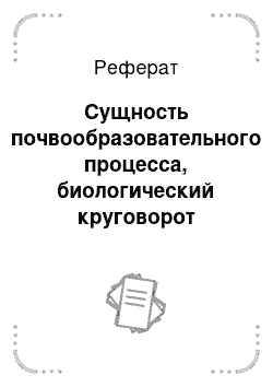 Реферат: Сущность почвообразовательного процесса, биологический круговорот веществ