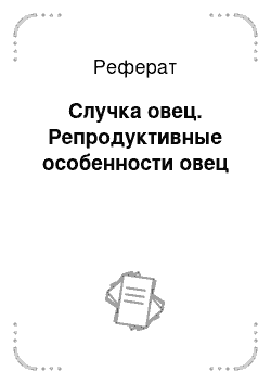 Реферат: Случка овец. Репродуктивные особенности овец