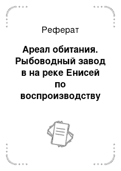 Реферат: Ареал обитания. Рыбоводный завод в на реке Енисей по воспроизводству сибирского осетра, мощностью 2 млн.молоди в год