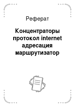 Реферат: Концентраторы протокол internet адресация маршрутизатор