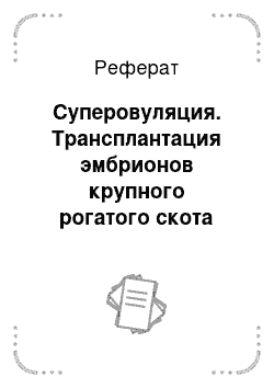 Реферат: Суперовуляция. Трансплантация эмбрионов крупного рогатого скота