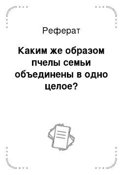 Реферат: Каким же образом пчелы семьи объединены в одно целое?