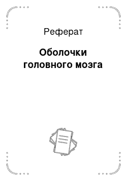 Реферат: Оболочки головного мозга