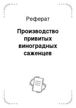 Реферат: Производство привитых виноградных саженцев