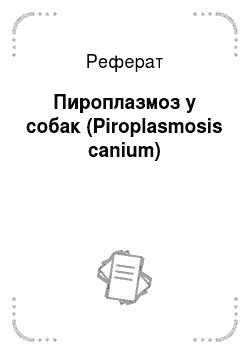 Реферат: Пироплазмоз у собак (Piroplasmosis canium)