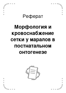 Реферат: Морфология и кровоснабжение сетки у маралов в постнатальном онтогенезе