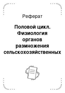 Реферат: Половой цикл. Физиология органов размножения сельскохозяйственных животных