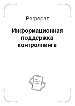 Реферат: Информационная поддержка контроллинга