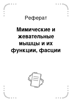 Реферат: Мимические и жевательные мышцы и их функции, фасции