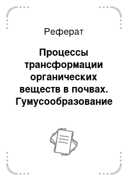 Реферат: Процессы трансформации органических веществ в почвах. Гумусообразование