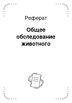 Реферат: Общее обследование животного