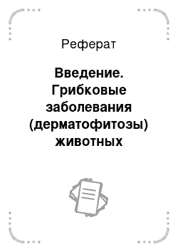 Реферат: Введение. Грибковые заболевания (дерматофитозы) животных