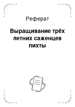 Реферат: Выращивание трёх летних саженцев пихты