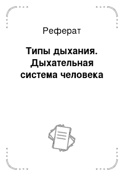 Реферат: Типы дыхания. Дыхательная система человека