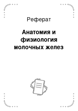 Реферат: Анатомия и физиология молочных желез