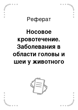 Реферат: Носовое кровотечение. Заболевания в области головы и шеи у животного