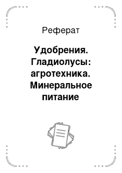 Реферат: Удобрения. Гладиолусы: агротехника. Минеральное питание