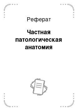 Реферат: Частная патологическая анатомия