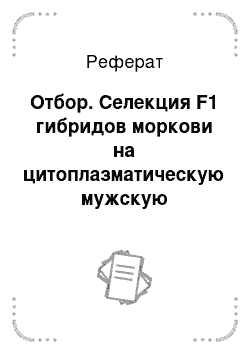 Реферат: Отбор. Селекция F1 гибридов моркови на цитоплазматическую мужскую стерильность