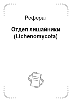 Реферат: Отдел лишайники (Lichenomycota)