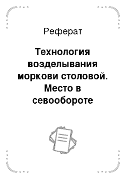 Реферат: Технология возделывания моркови столовой. Место в севообороте